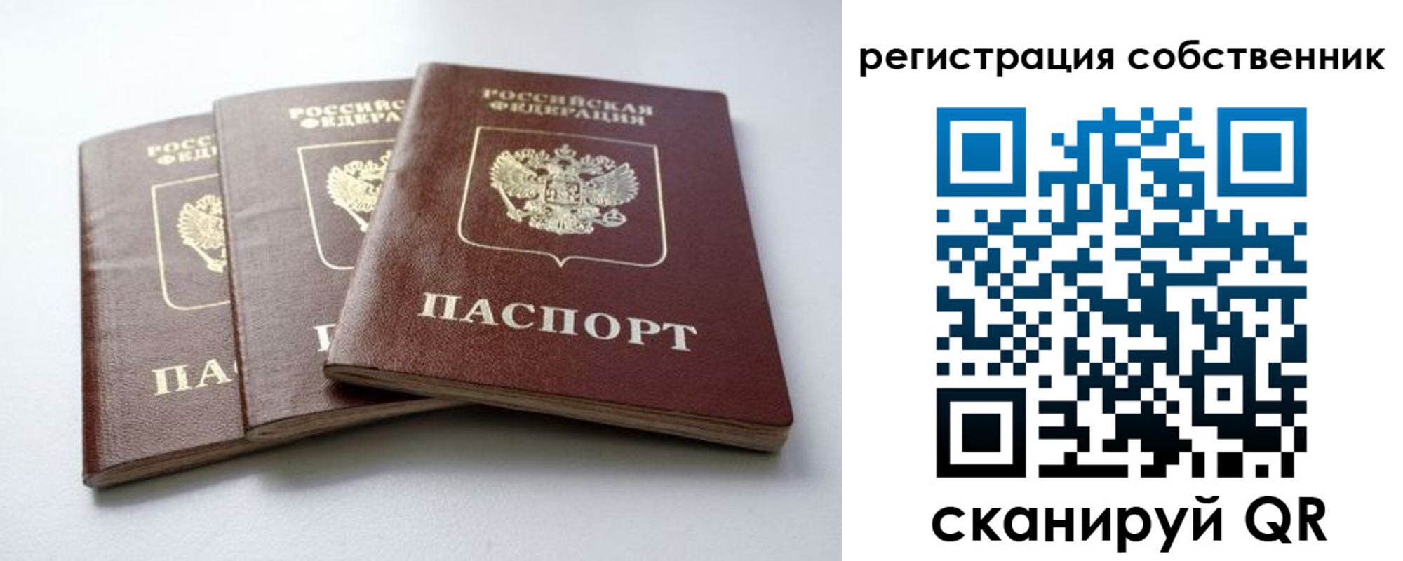 прописка для школы в Боровичах